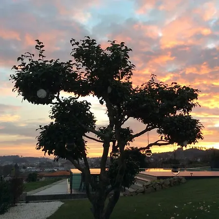 Quinta De Santa Cruz * Carvalhosa