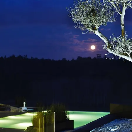 Quinta De Santa Cruz Carvalhosa